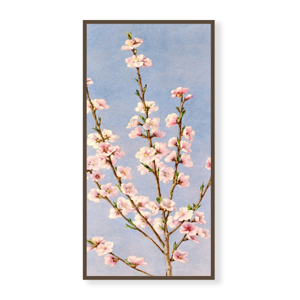 OPT062 桃花朵朵 | 手繪油畫